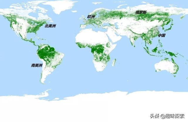 德国卫星对准世界各国森林,生成全球森林地图,我国有大片绿色