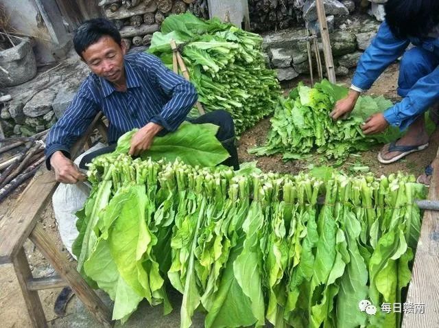 石城横江人口_石城横江图片