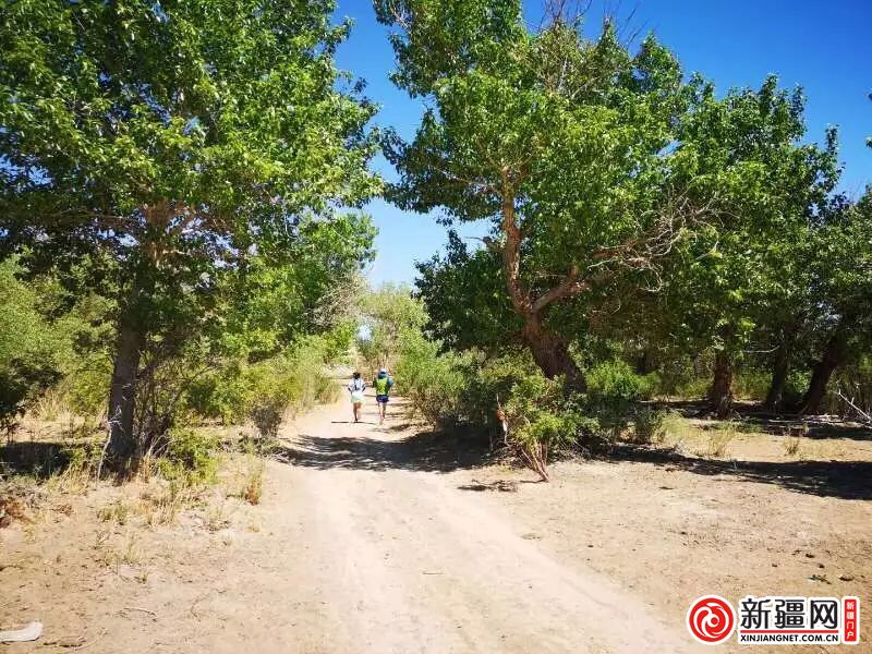 “美丽中国行”2019克拉玛依越野挑战赛活力开跑 新濠天地注册在线