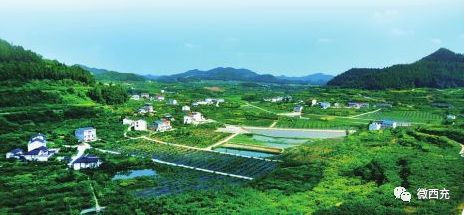 厉害啦!西充近10万人吃上“有机饭”... 百万发登入