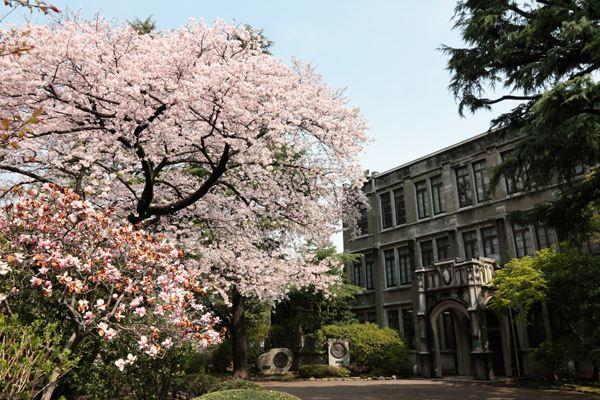 日本留学:颜值爆表青山学院大学--G-MARCH