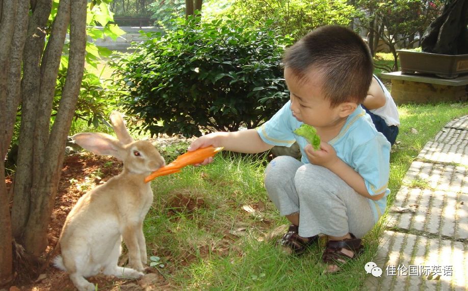 走,跟着佳伦英语一起去农场摘水果!