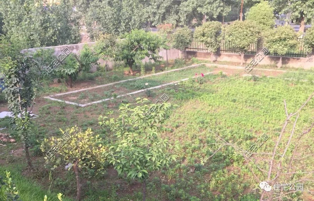 晒家丨湖北陈先生30万回家建房,占地2亩的小院