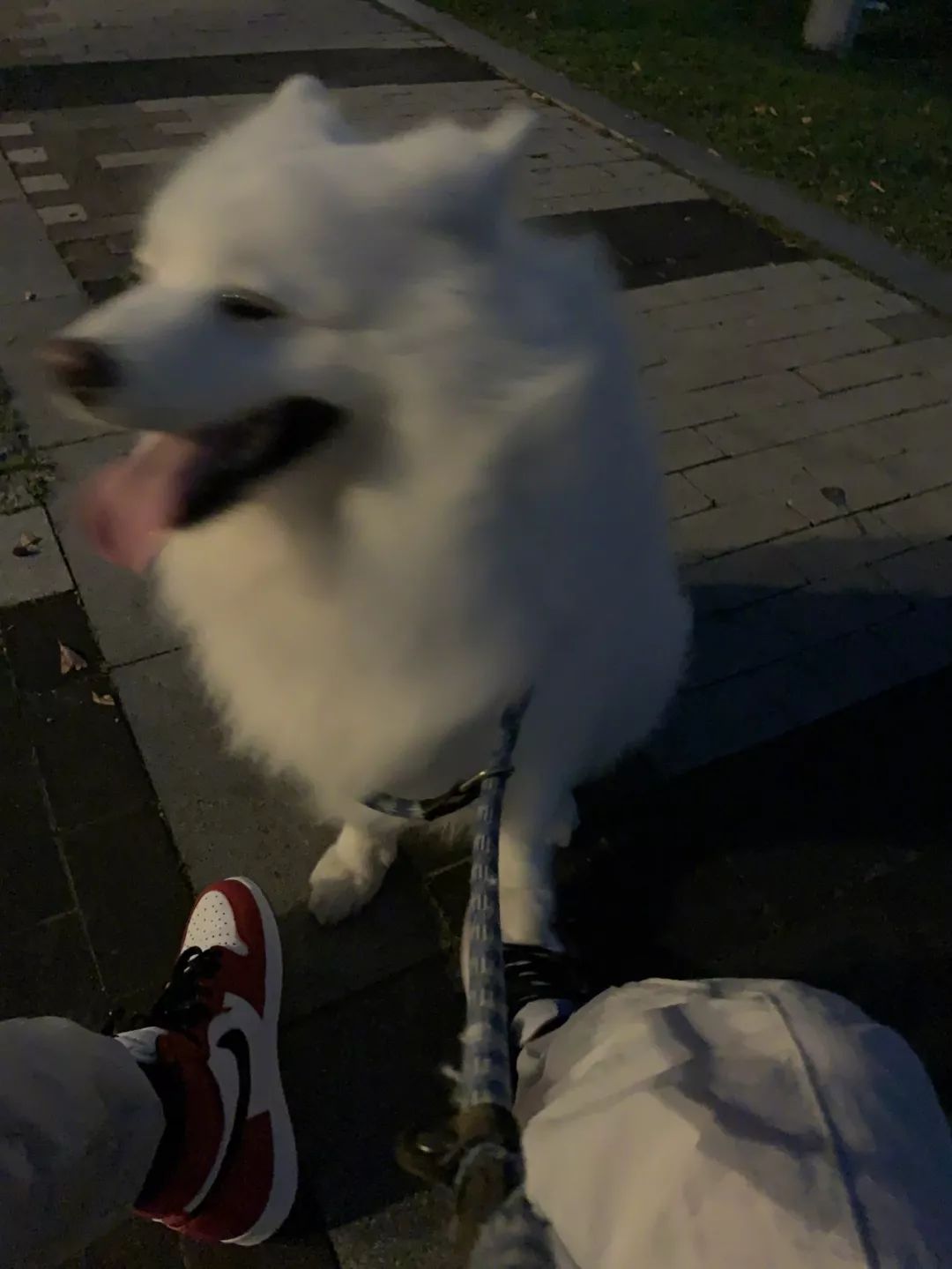 6c4fcd2e0b0c472387d47ad3dc1a7013.jpeg