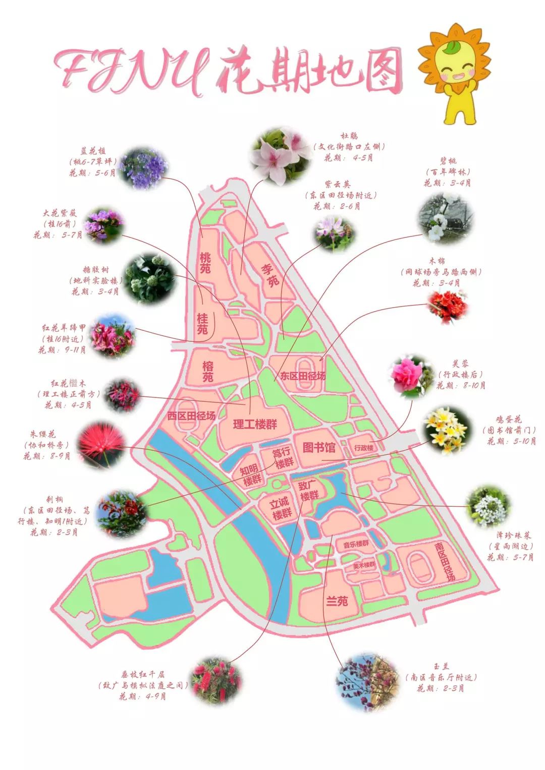 小葵特地为师大学子绘制了好看又实用的花期地图哦,心动赶紧行动起来