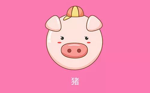 不争不抢却和贵人最有缘的生肖