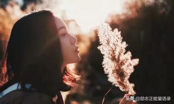 78830a4eb3b84c34875e78c139db4884.jpeg