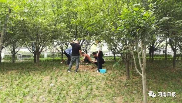 找到了!找到了!周口丢失男婴今天凌晨从郑州救回 AV无码波多野结衣在线看