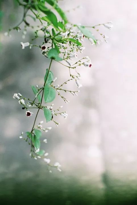 7c4012450ff34939b3e2752a5b6b1cf4.jpeg