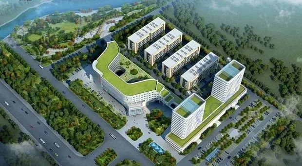 胙城张庄人口_天津北辰大张庄规划图(3)