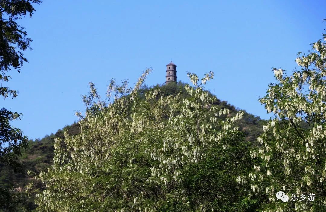 龟背竹杆上长出的根 846c1394cd224198b20f321d610e13b2.jpeg