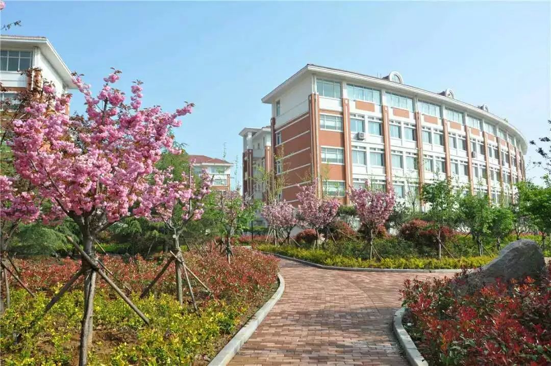 有声读物丨那一年,我进入了致远中学_青岛市