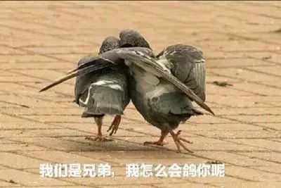 88cdc80c44c54daebbd54a8db77f9389.jpeg