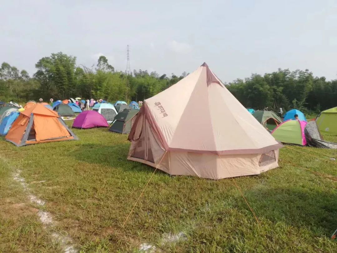 △绿地上支起一顶顶帐篷