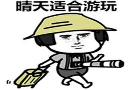 不要脸英文