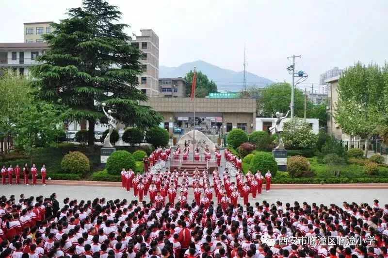 临潼小学2019年一年级新生招生公告