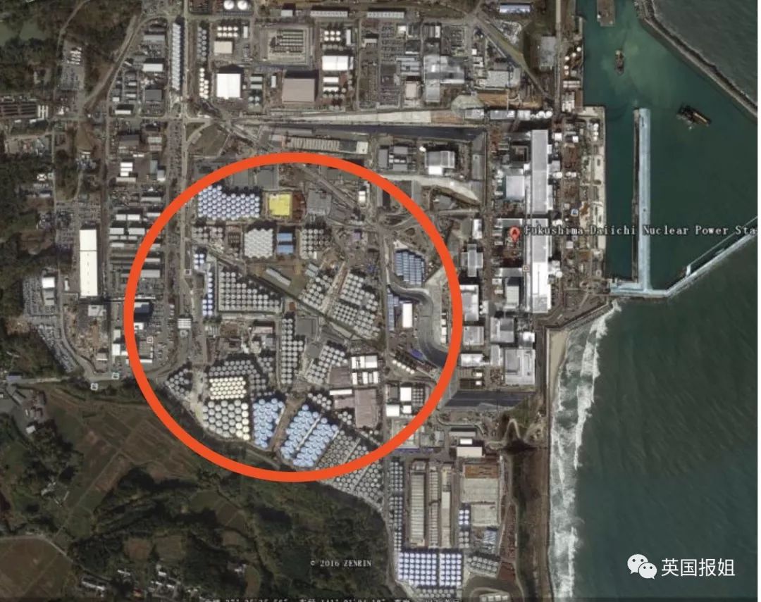 日本：即便犯下滔天罪行，但只要道歉了就没事了吧！