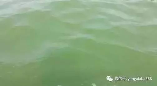 水浑不用怕!看完这篇文章你就会调了!