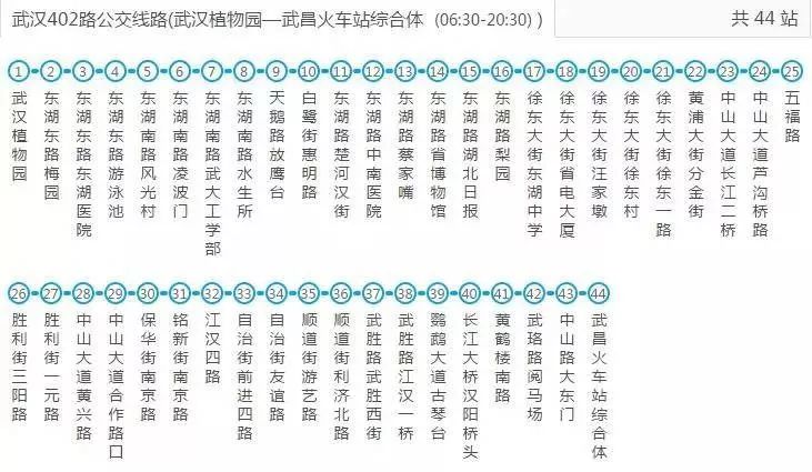 坐上武汉402路公交车,整个