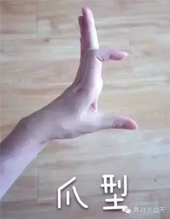 傣族舞手位,脚位,舞步,姿态教学,学好它们优雅到每个细节!