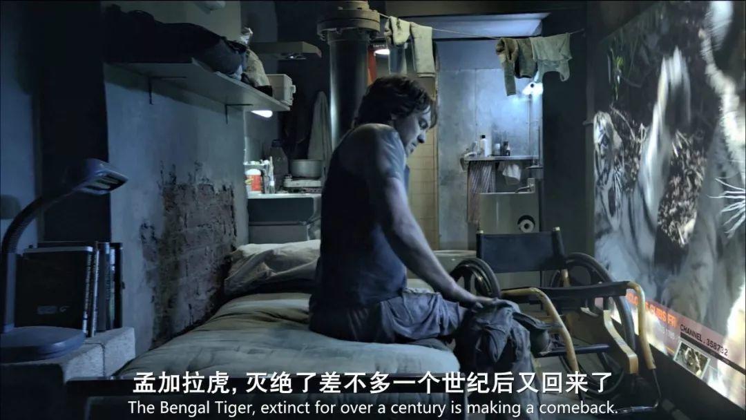 赤足寻梦，解密梦中寻鞋之旅——与友共探潜意识之谜