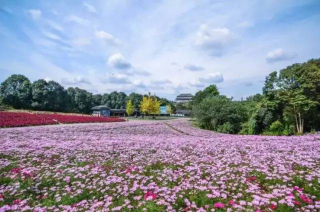 蒲江县gdp_蒲江县(3)