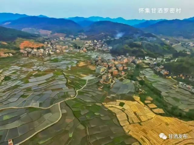 你好甘洒