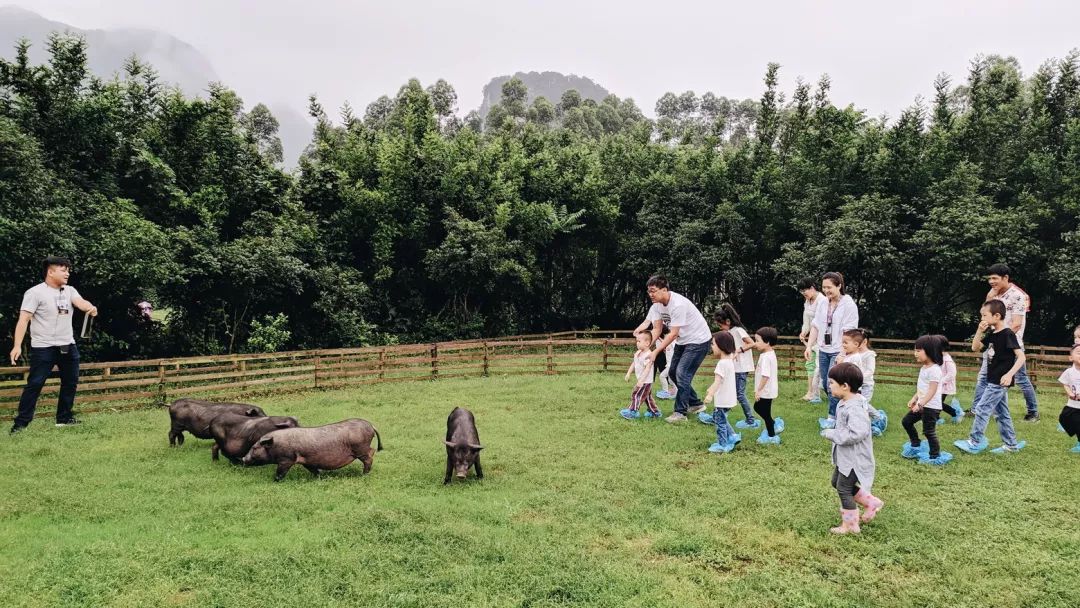 小太阳幼儿园来和记热闹欢乐的亲子游