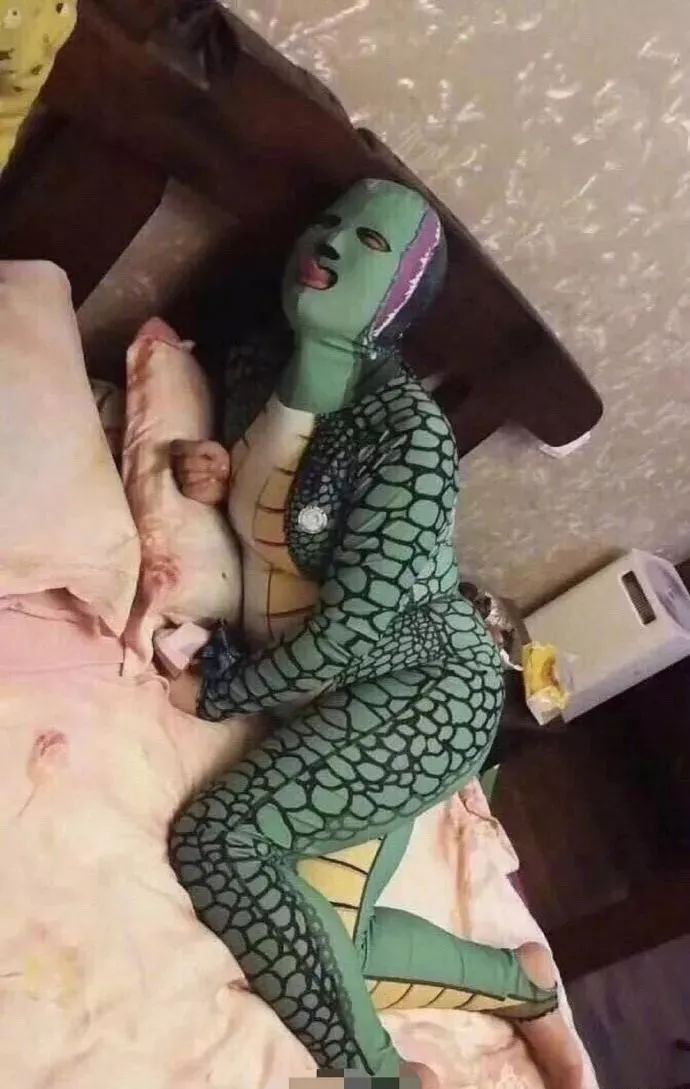 生活处处有狗粮,翔能变成彩虹糖丨爆笑囧图