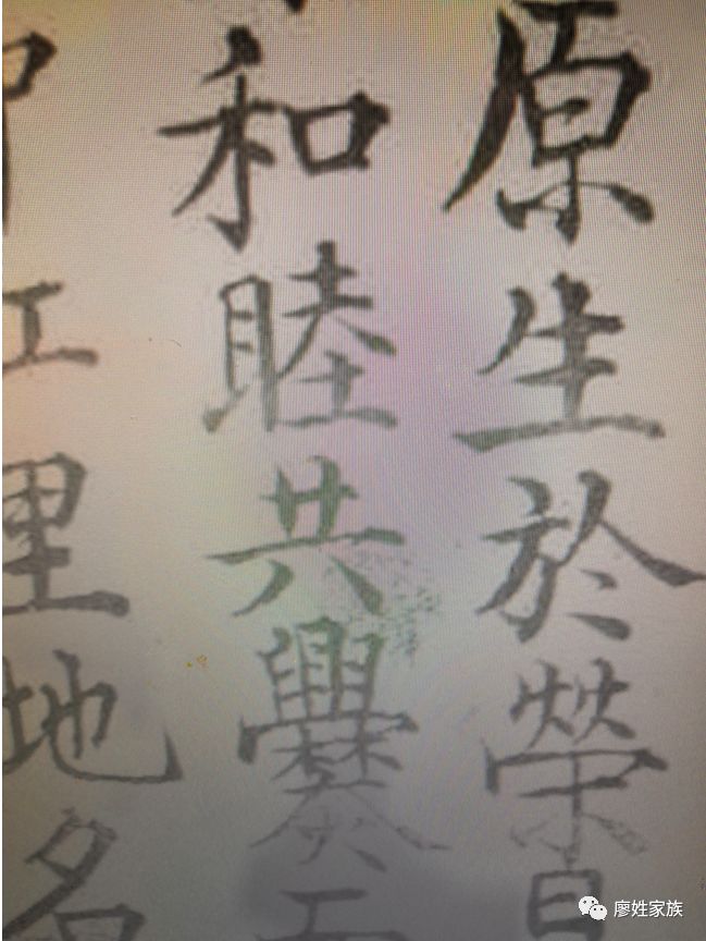 廖氏县人口_人口普查(2)