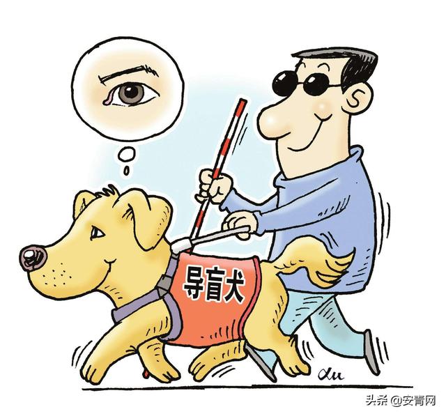 安徽拟出台无障碍环境建设管理办法 公共场所、交通工具不得拒绝导盲犬 博e百娱