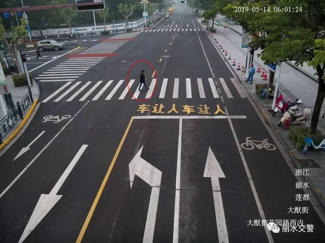 浙k8556t,浙k66l17……你们被丽水交警曝光啦!_路口