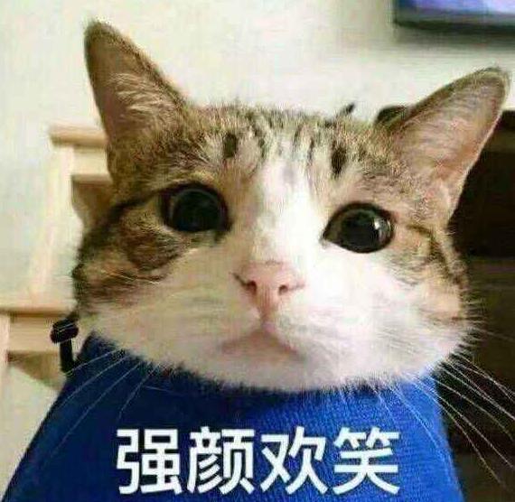 05cc89305530498d827fa200caa155d1.jpeg