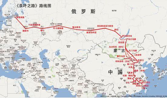 肠小道成语前面是什么_hpv是什么