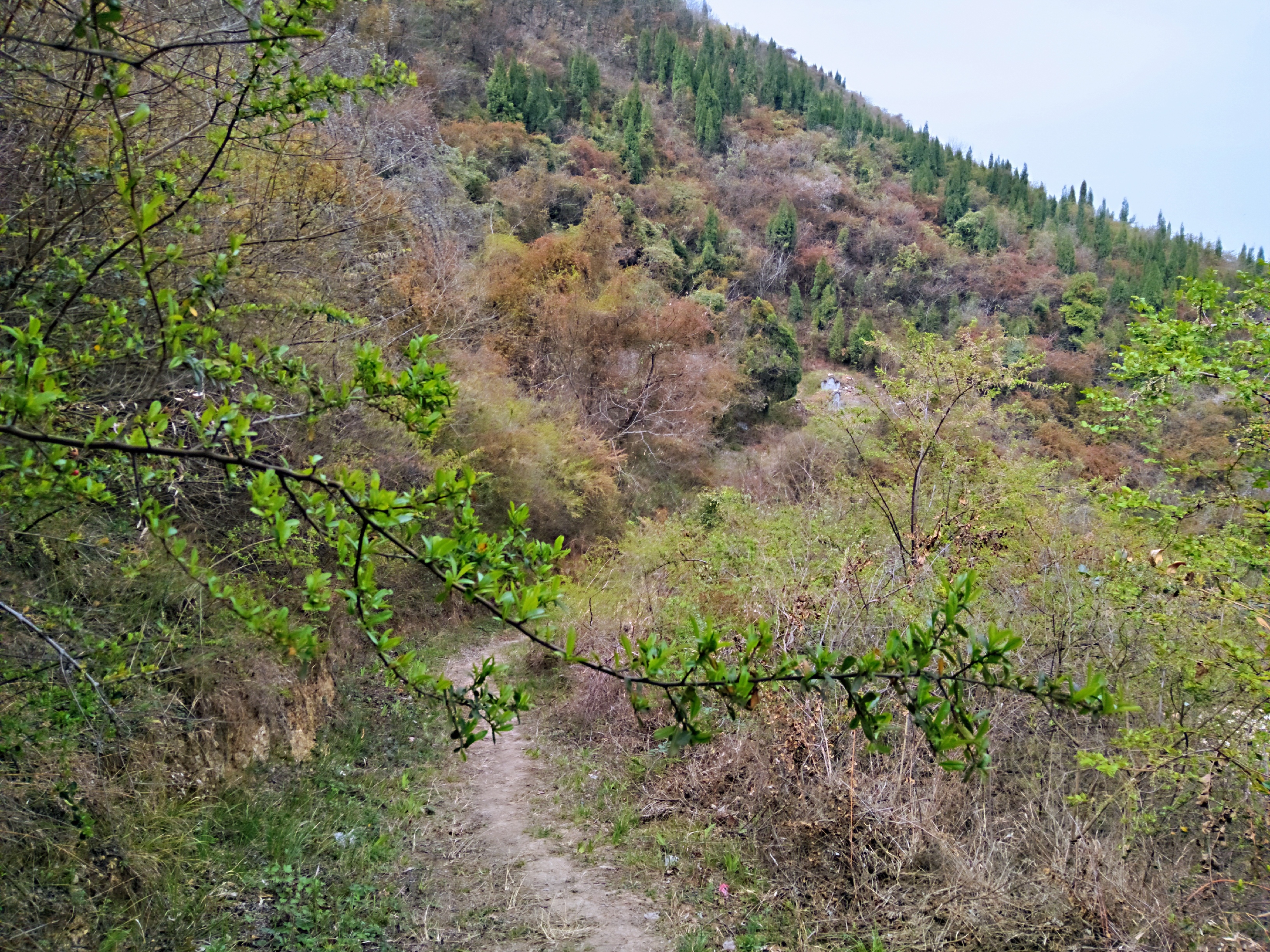 走过龙岗大桥,进入南郑区,沿河堤向西进入梁山镇南寨村,登上中梁山.