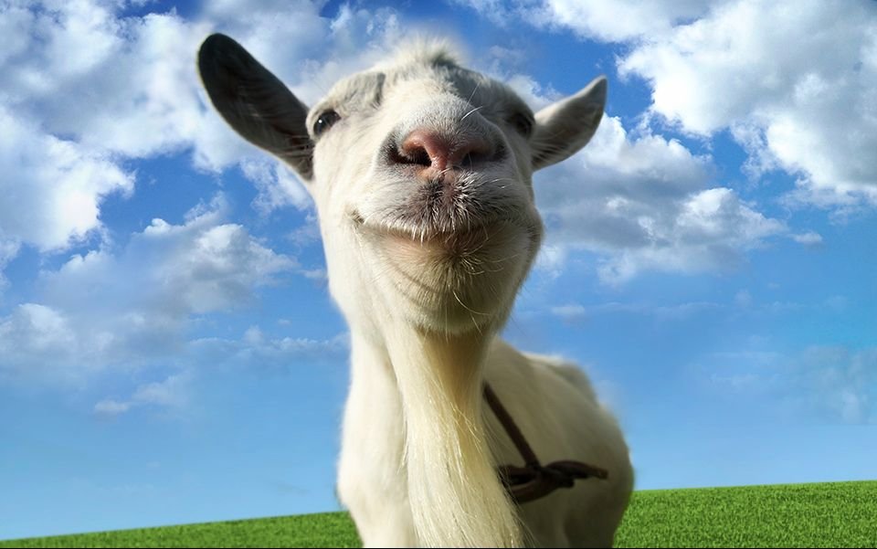 山羊头和狗图片猜成语_山羊和绵羊图片(3)