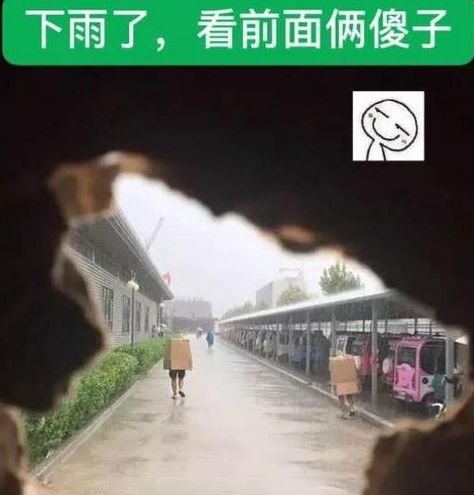 下雨了,看看前面两个大傻子