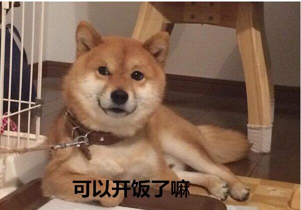 柴犬表情包：你再捏我臉我和你急！ 未分類 第2張