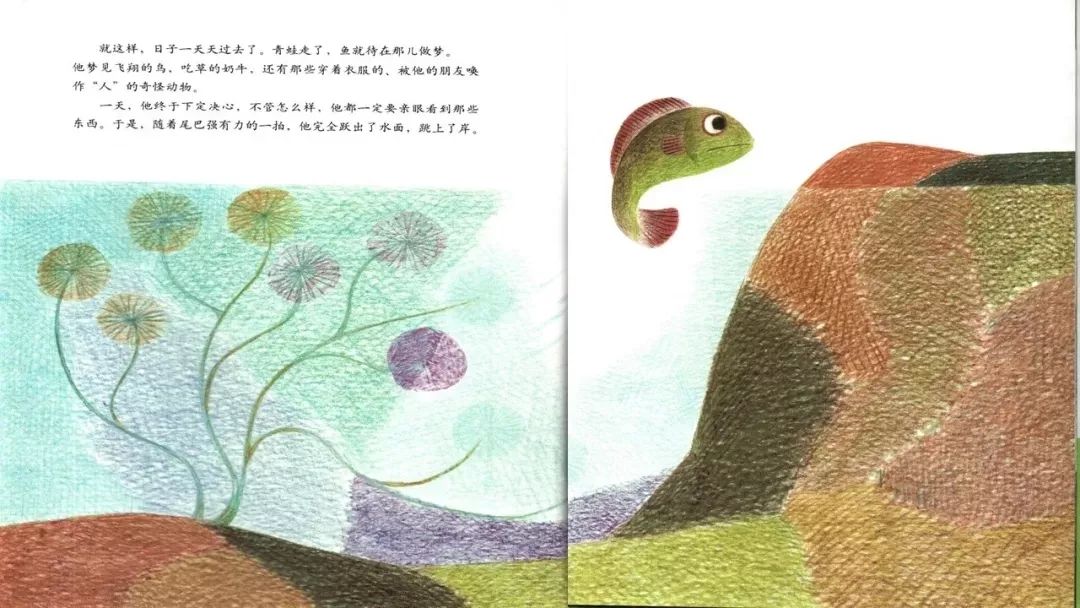 绘本故事【鱼就是鱼】