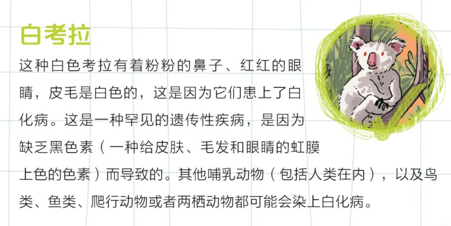 23a9ff1c637440d2b70691e04404ea43.jpeg