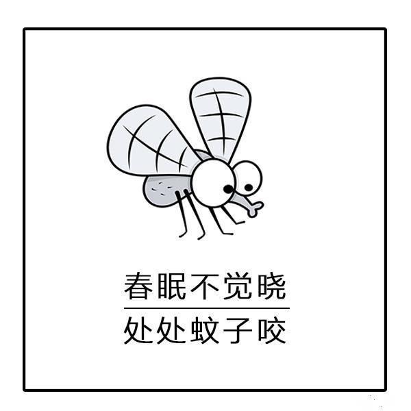 蚊子表情包:枯藤老树昏鸦,蚊子滚出我家