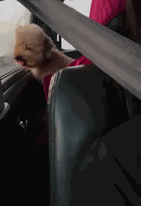 280_408竖版 竖屏gif 动态图 动图