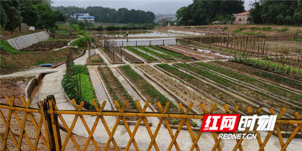 2019年汨罗各乡镇经济总量_2021年日历图片