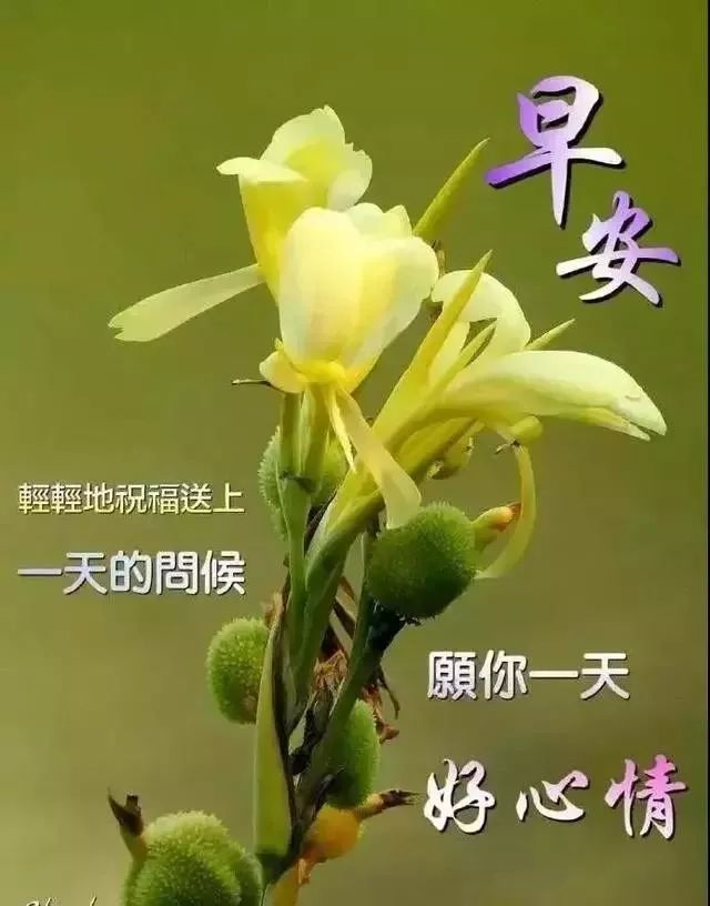 5月20日周一群发早上好问候祝福动态表情图片 最美早晨好问候表情动态