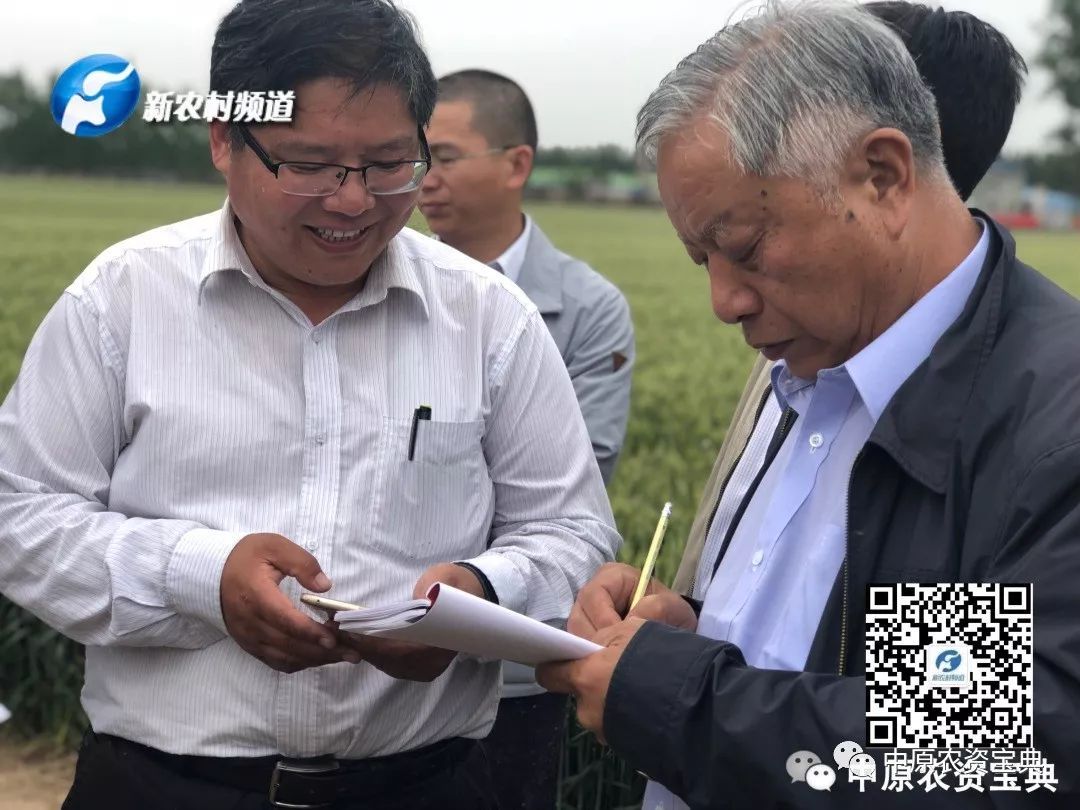 行业专家,十八地市站长齐聚现场,只为看这一个品种!_小麦