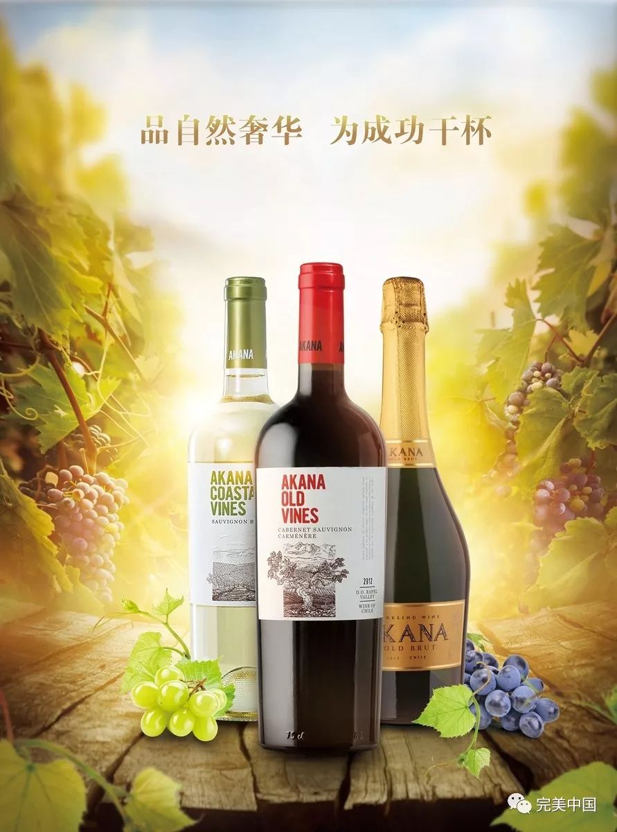 520 | 教科书级别的表白方式！