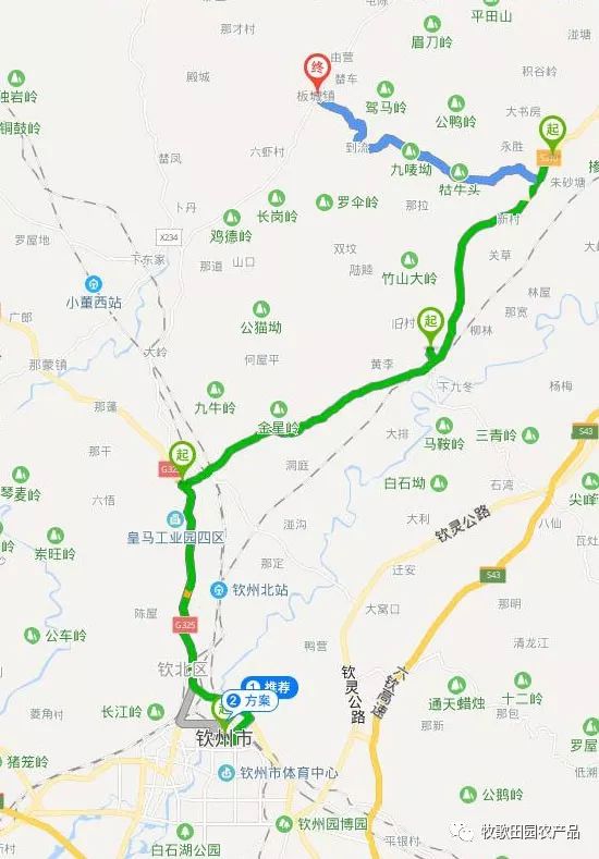 第一条:从南部,西部过来的游客可以从钦州直接通过小董进入牧歌田园