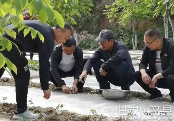 文县有多少人口_文县天池图片