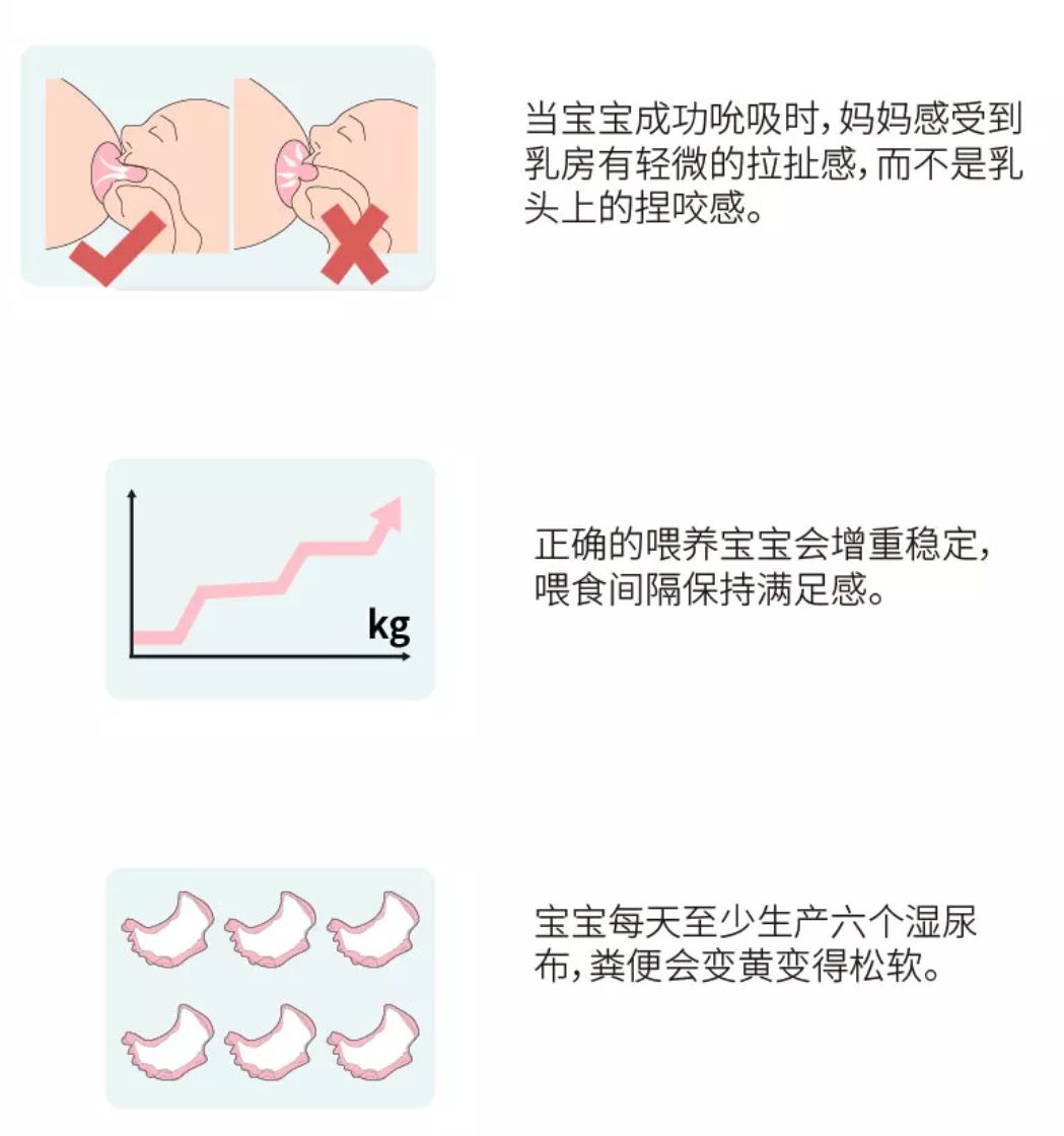 全国母乳喂养宣传日母乳喂养常见困惑其实可以这样解决