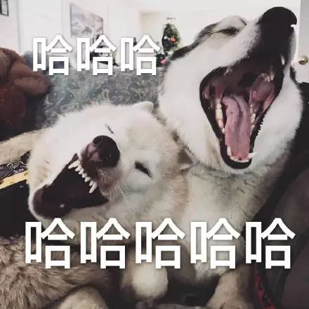 4d3f274a01bb4ae0b4195ffe7655b63d.jpeg